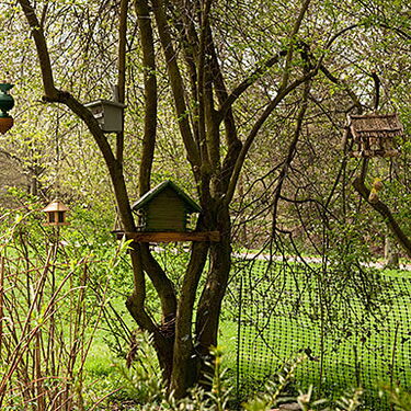 Verschiedene Vogelhäuser hängen an einem Baum in einem grünen Garten und bieten vielfältige "Wohnungstypen" für Vögel.