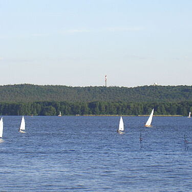 Segelboote gleiten über den blauen Müggelsee in Köpenick, mit üppigem Wald im Hintergrund.